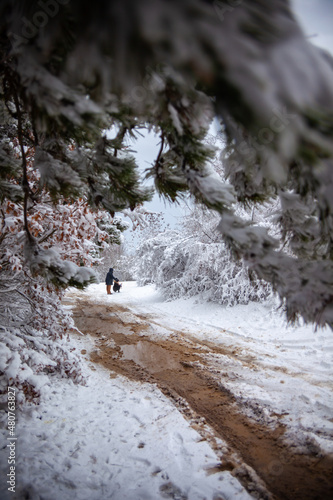 Winter landscape from snow forest. Bulgaria resorts