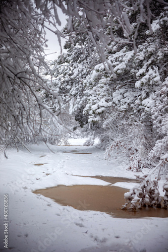 Obraz na płótnie Winter landscape from snow forest. Bulgaria resorts w salonie