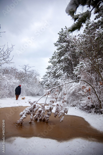 Winter landscape from snow forest. Bulgaria resorts