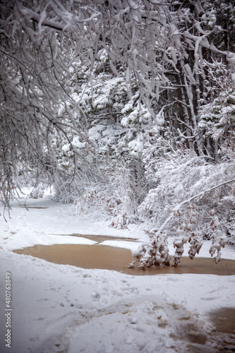 Obraz na płótnie Winter landscape from snow forest. Bulgaria resorts w salonie