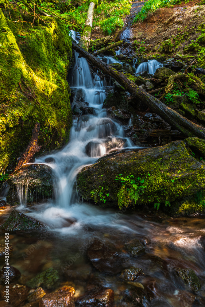 Auvergne