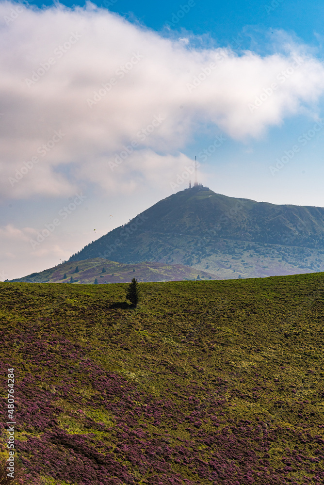 Auvergne