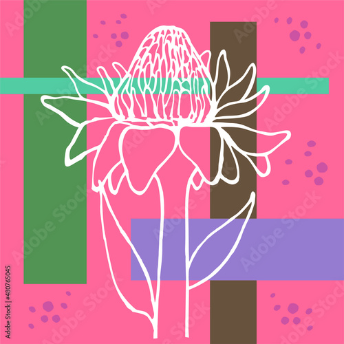 Flor branca com fundo abstrato color