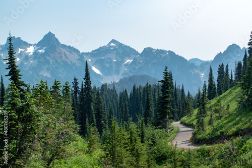 Rocky and snowy mountain peaks seen through dark green pine forest with paved trail in Mt Rainier National Park