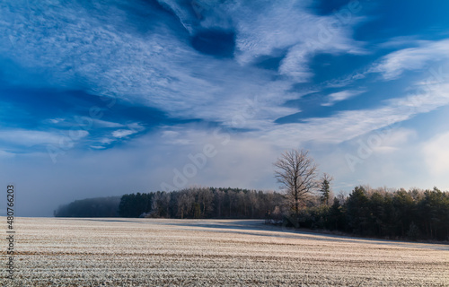 Winter czech landscape. Forest with large tree  agriculture field and cloudy sky