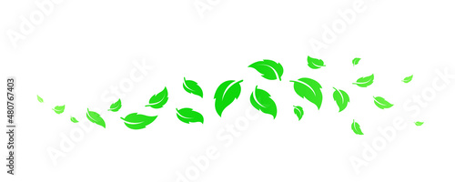 Green nature swirl wave with leaf silhouettes