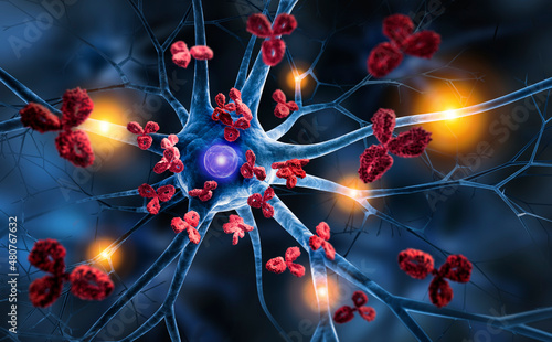 Nerve cells with Antibodies - Autoimmune disease photo