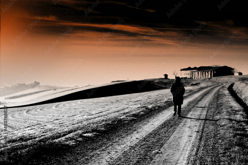 Fototapeta premium Salire verso il Monferrato