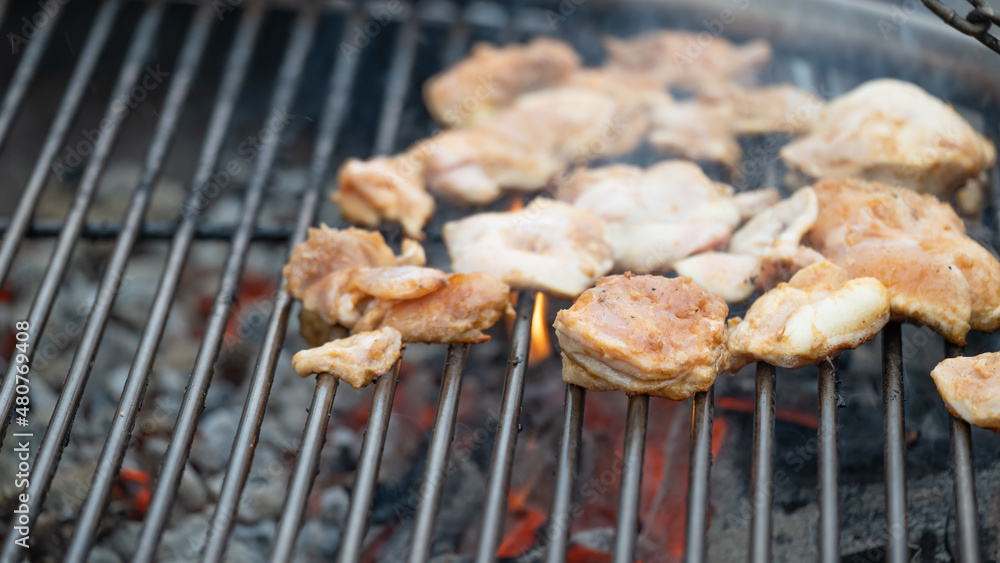 Grilled chicken breast on the flaming grill, real picture, dark background Grilled chicken breast on the flaming grill, real picture, dark background