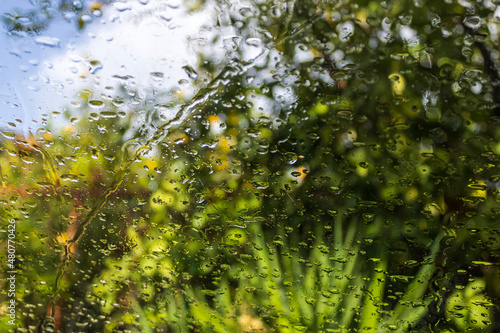 Green window glass with water drops