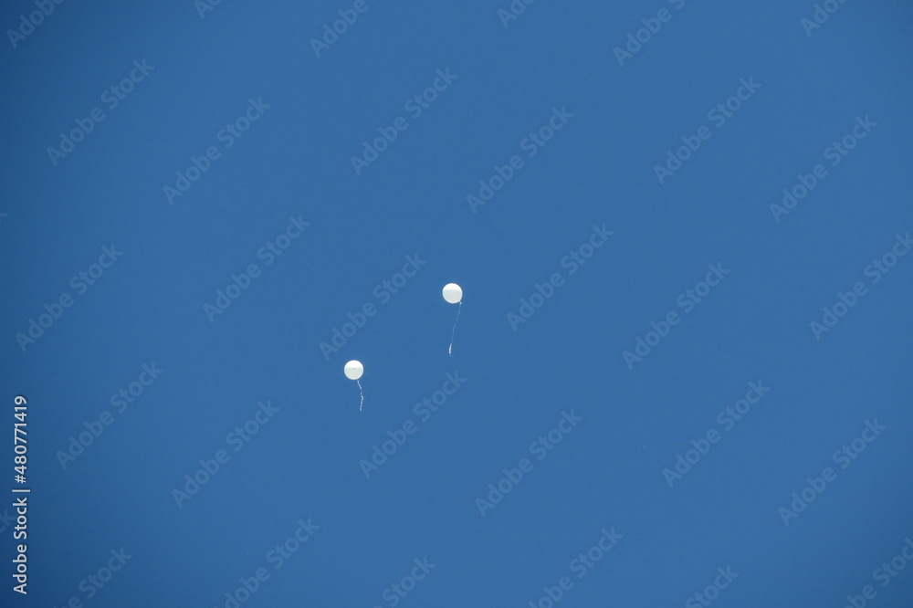balloon in the sky balloon in the sky