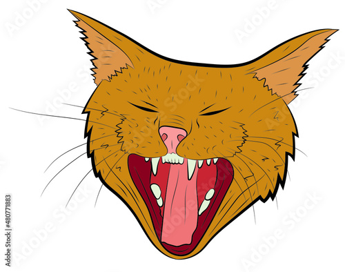 Realistic yawning cat portrait. Vector illustration. © Inna