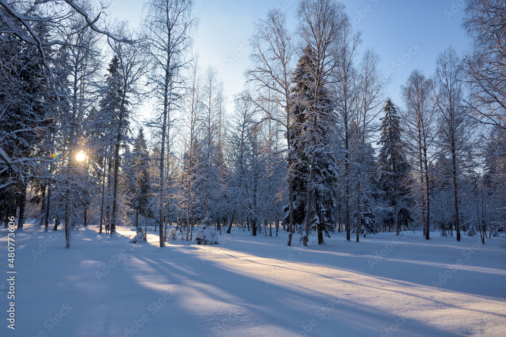 Beautiful winter landscape.