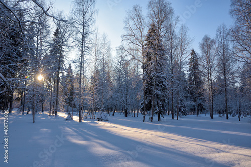 Obraz na płótnie Beautiful winter landscape. w salonie