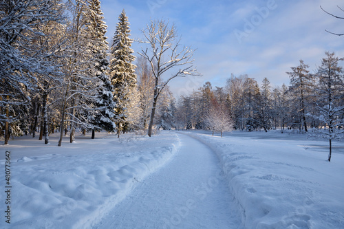 Beautiful winter landscape. © borroko72