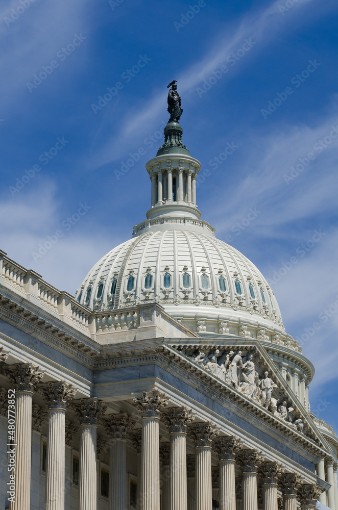 Obraz premium US Capitol Building in Washington DC, United States of America