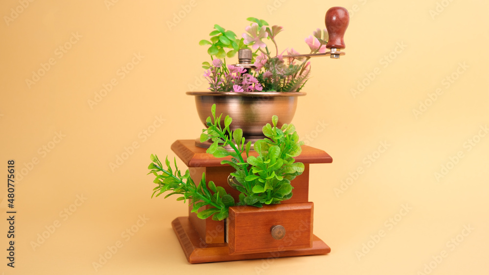 Manual coffee grinder with green plants. Manual coffee grinder with green plants.