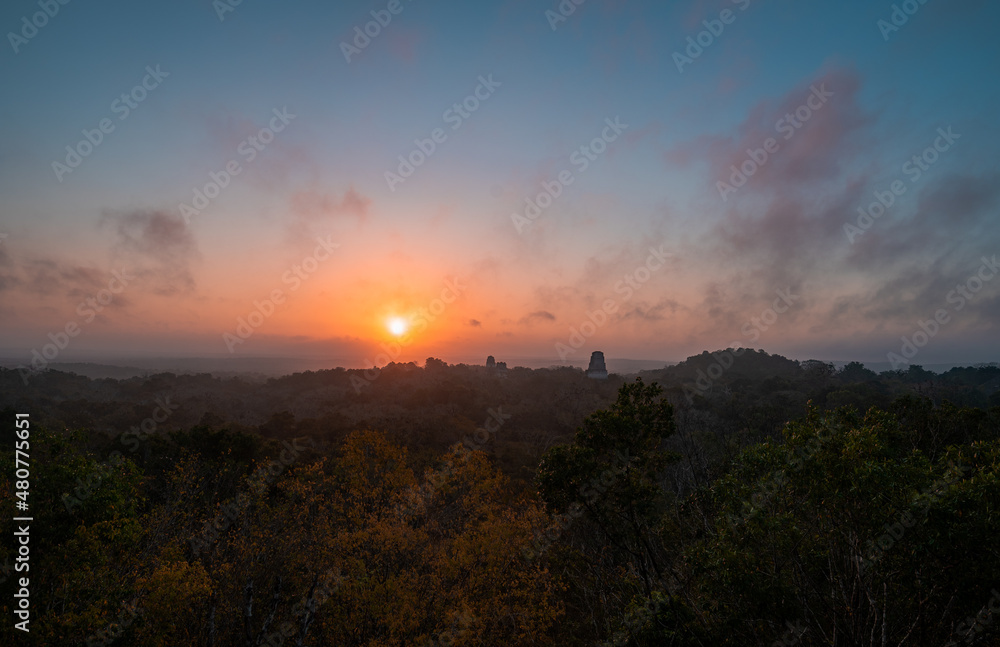 Naklejka premium Junggle sunrise mayan