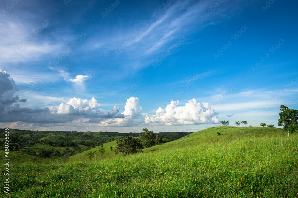 Obraz premium landscape with clouds