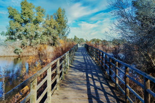 Wooden bridge or walkway in Las Doblas  Sanlucar La Mayor  Seville