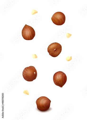Falling down hazelnut kernels and crumbs isolated on white background. Realistic vector illustration.