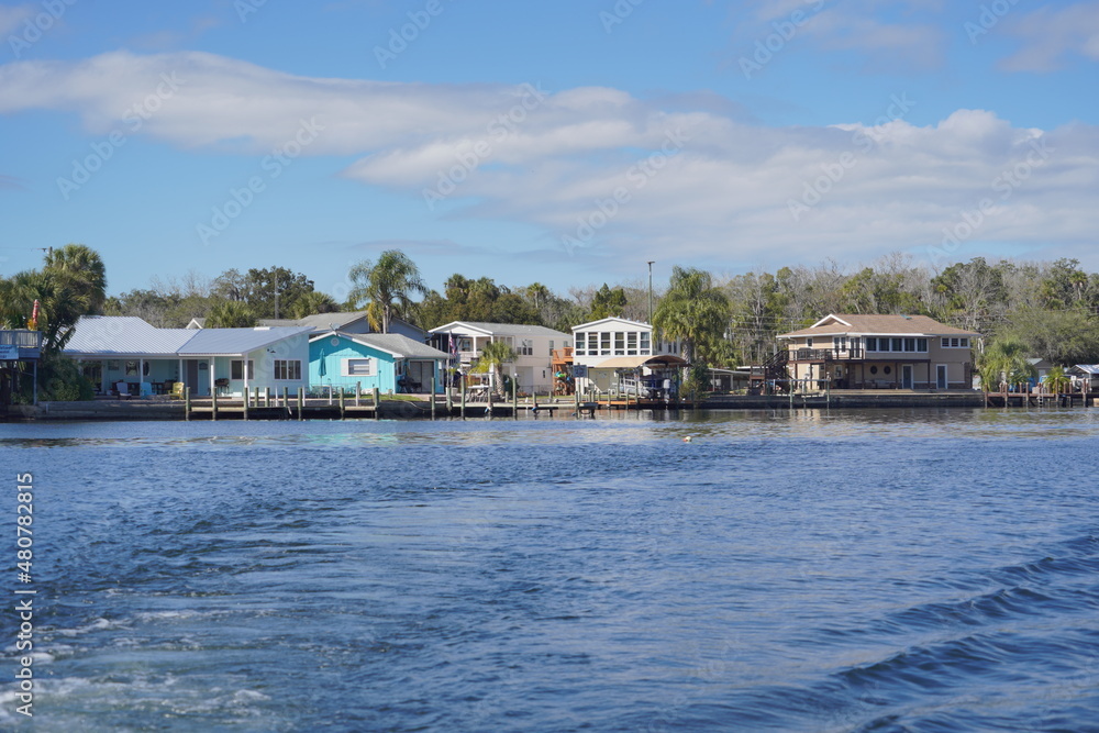 Naklejka premium beautiful tree, clear water, house along homossasa river in winter.