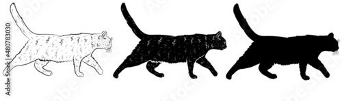 Set of Realistic black silhouette of a walking cat in profile. Vector illustration.