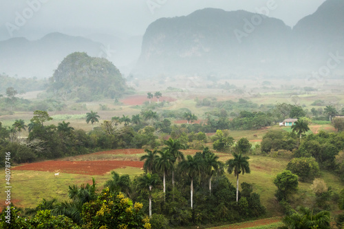 Beautiful Vinales Valley with palm trees and fog. Amazing green landscape of Cuba photo