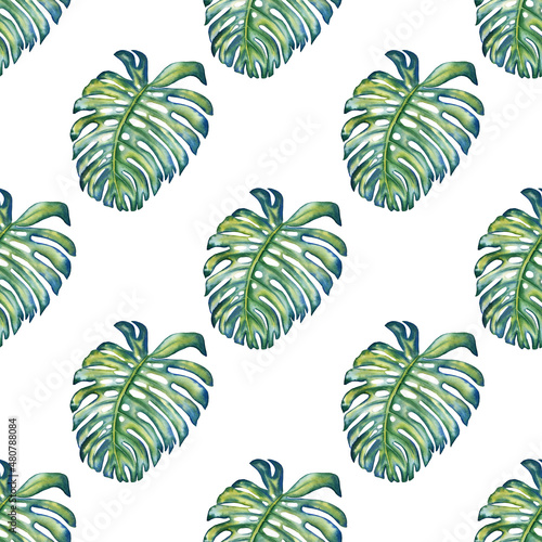 Watercolor hand drawn monstera leaves seamless pattern. Tropical foliage background. Jungle print for fabric and wrapping paper. Exotic wallpaper