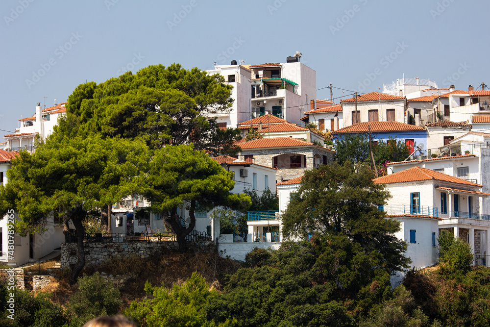 beautiful view of a narrow street located on the Greek island of skiathos and green trees
