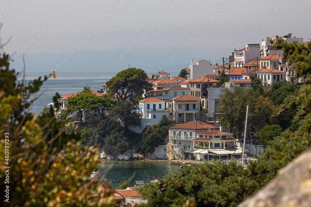 Fototapeta premium view of residential narrow houses on the walnut island of skiathos