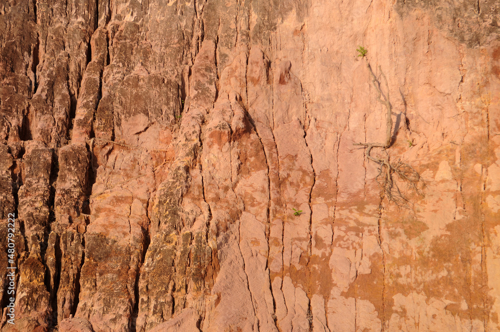 Naklejka premium Alter do Chão,Pará,Brasil.Detail of the cliff wall on the banks of the Tapajós River, in the northern region of Brazil.