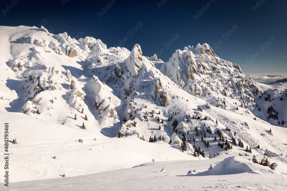 Beautiful landscape in winter season with snow on firs. Ciucas Mountain, Romania