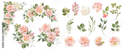 Foto Watercolor blush rose flowers clipart