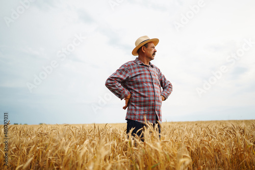 Farmer in the wheat field. Growth nature harvest. Agriculture, gardening or ecology concept. © maxbelchenko