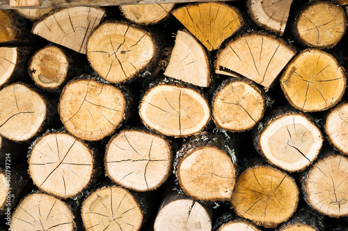 Background from stacked wooden logs