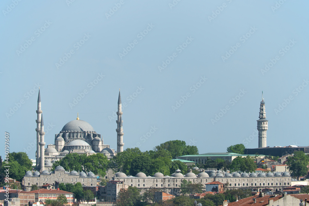 Istanbul rooftops with the great blue mosque surrounded by trees