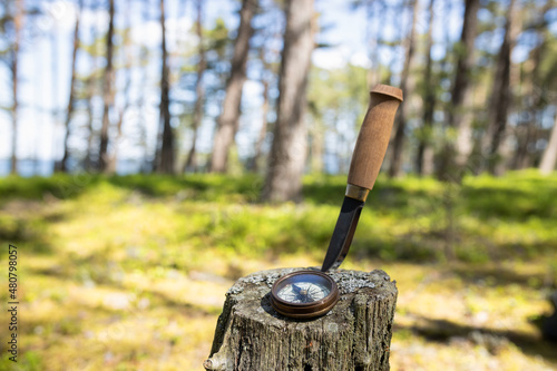 Knife and compass on a log in the forest. Travel,hiking concept. Summer forest.