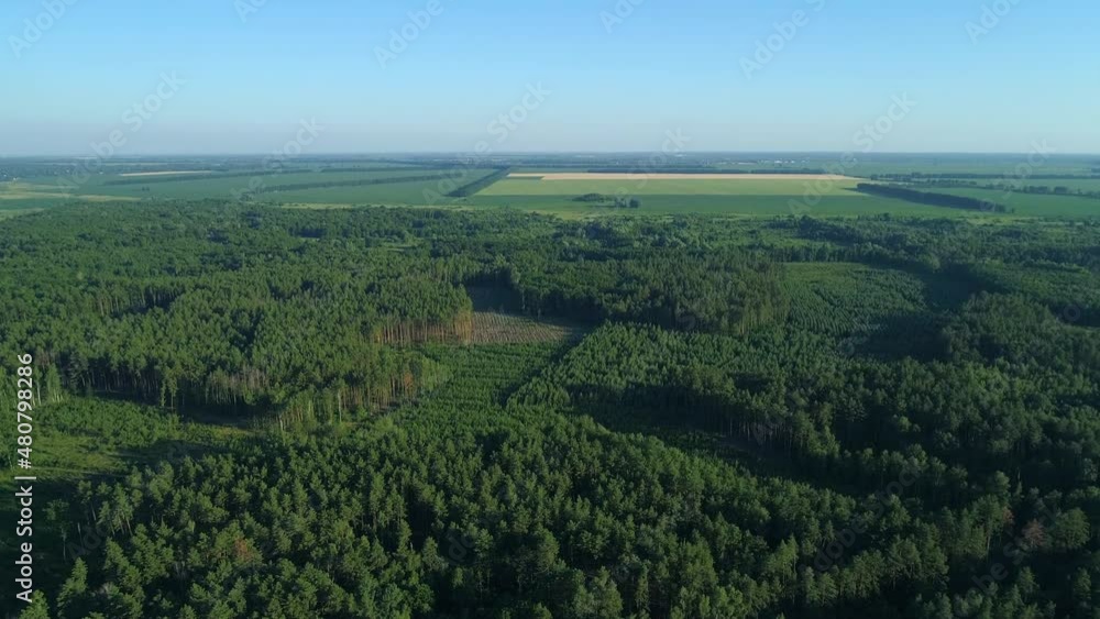 Aerial view forest and deforestation in summer. Drone flying over green trees in sunny day. Drone shot over trees cut down. Ecological catastrophe of the entire planet earth, environmental pollution Aerial view forest and deforestation in summer. Drone flying over green trees in sunny day. Drone shot over trees cut down. Ecological catastrophe of the entire planet earth, environmental pollution