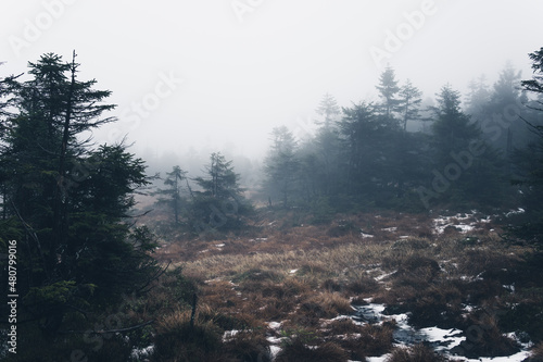 Einsame Brocken Landschaft im Nebel
