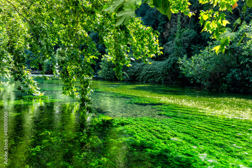 River La Sorgue in L'Isle-sur-la-Sorgue