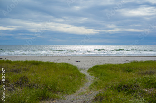 beach and sea