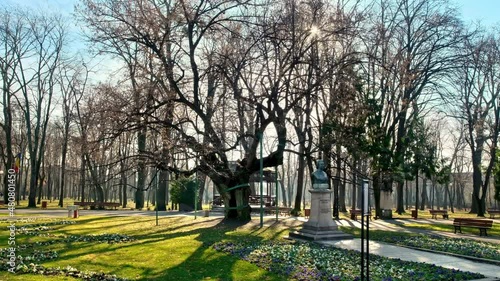 View of Copou Park in Iasi, Romania. Mihai Eminescu monument, alley, bare trees, green grass photo