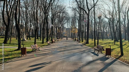 View of Copou Park in Iasi, Romania. Benches, alley, bare trees, green grass, people photo