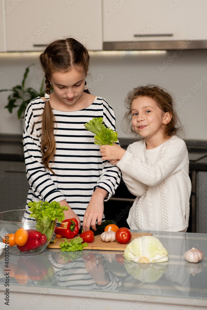 Two cute sisters' girls cut a salad from fresh vegetables. The girls are in the kitchen at home. They socialize and have fun while cooking. The concept of healthy eating. Healthy food. Childhood.