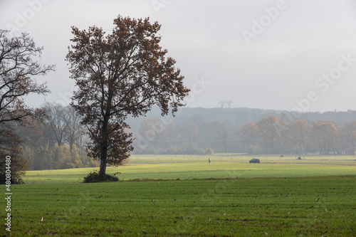 paysage campagnard photo