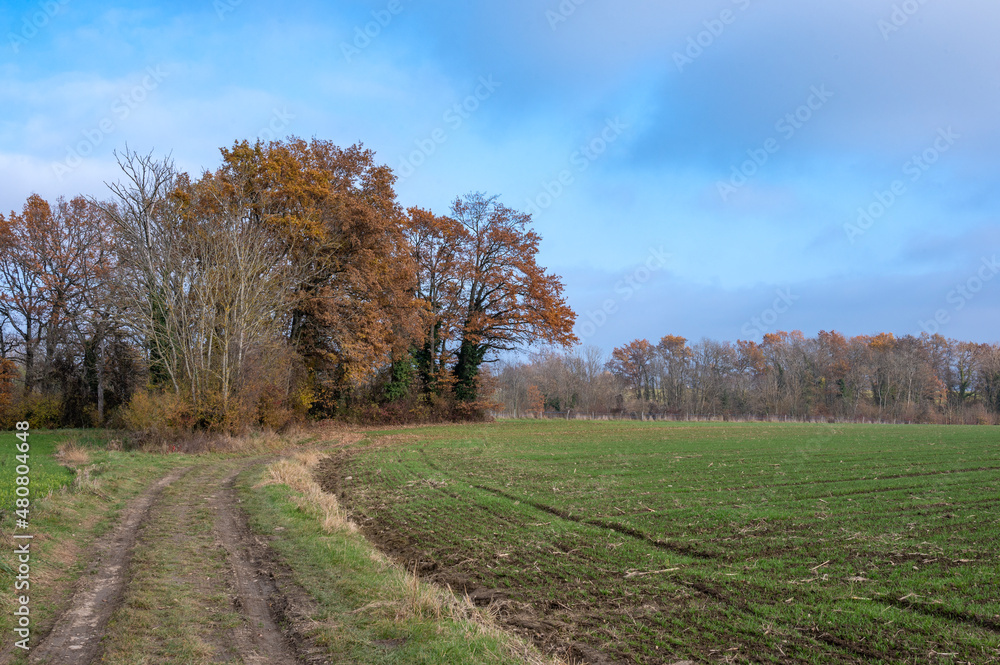 paysage campagnard paysage campagnard