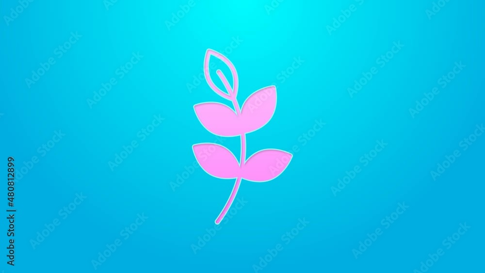 Pink line Willow leaf icon isolated on blue background. 4K Video motion graphic animation Pink line Willow leaf icon isolated on blue background. 4K Video motion graphic animation