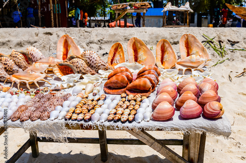 Many seashells for sale at the beach at Zanzibar, Tanzania