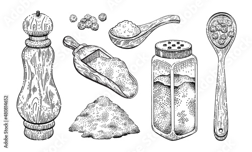 Vector salt pepper illustration. Spice hand drawn vintage sketch. Black pepper and sea salt seasoning isolated design. Powder, spoon, peppercorn mill shaker. Natural food doodle engraving collection